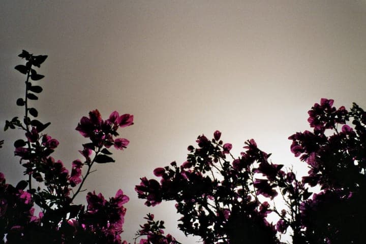 Philipp John Photography